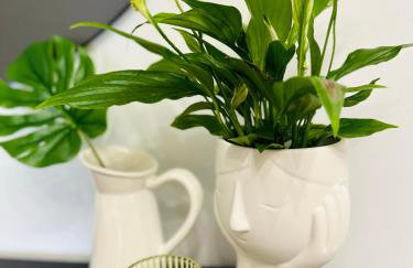 Mylos Ηome - Foto 7