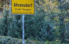 Ferienhaus Im Wäldchen in See Nähe - Photo 40