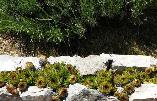 Apartmani Goga - Foto 53