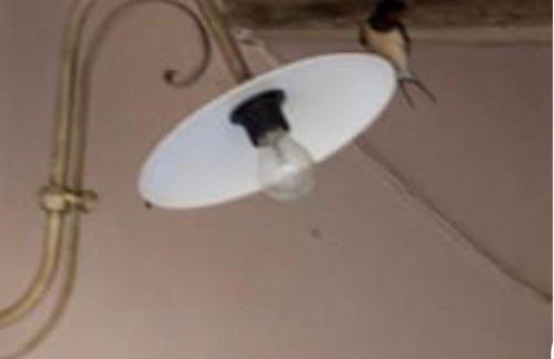 Residenza dei Piaceri Perduti-Rosa - Foto 50