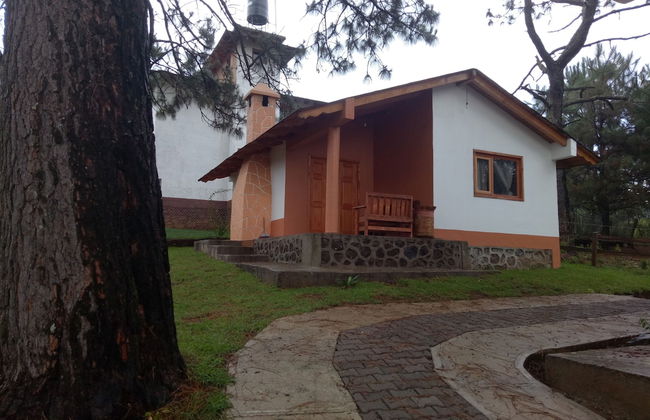 Cabañas del Bosque - Foto 21