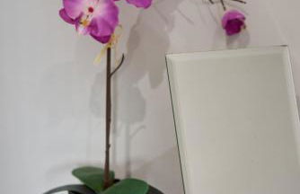 Douglas Gatehouse - Foto 9