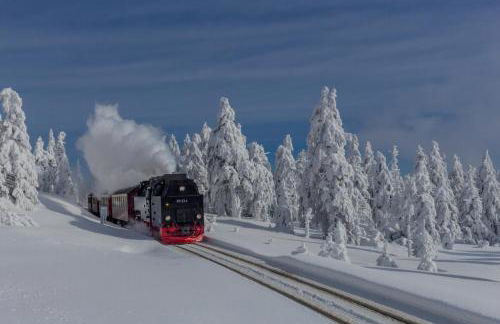 FeWo Seestadt mit Balkon #Netflix #Seenähe #Einkaufen von Harztraveler - Foto 18