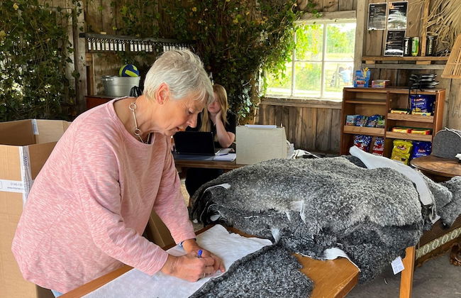 STF Ihre Gård - Foto 2