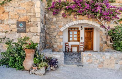 VENTUS Studios - Foto 34