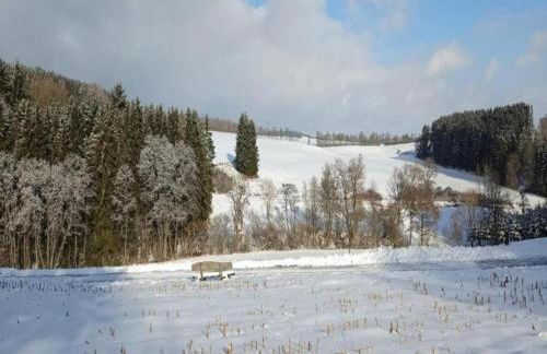 Holiday Home in Lissendorf by Forest - Foto 74