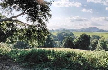 Orchard Cottages at Gorton House - Foto 42