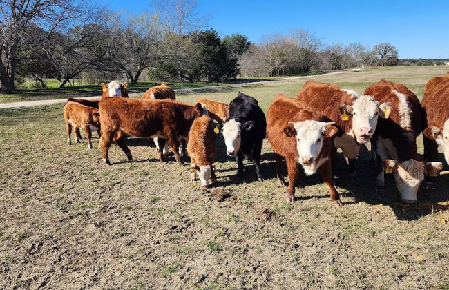 Twin Canyons Ranch Luxury Ranch Villas - Photo 23
