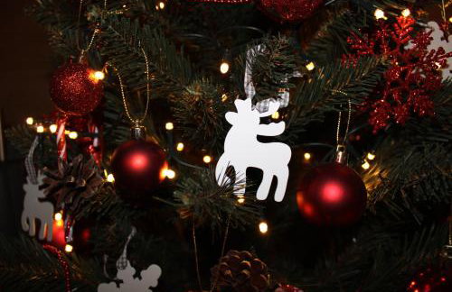 JANICKA CHATA - Foto 12