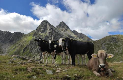 Agritur Belsogno B&B - Foto 100