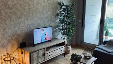 Apartamento Aldeana - Foto 4