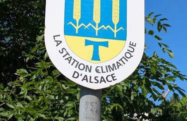 Les 3 Zepp - Foto 10