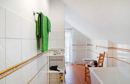 Seeschwalbe Hilgenriedersiel - Photo 5