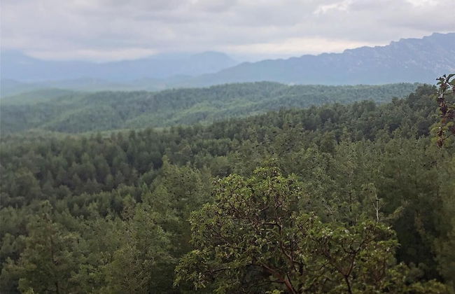 Antalya Bodrum Kayası Dağ Oteli - Foto 37