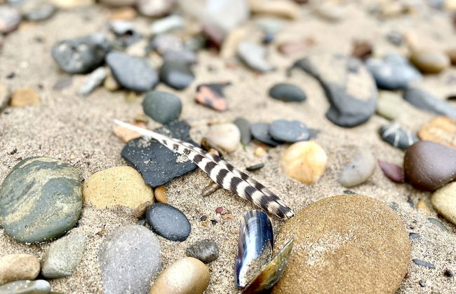 Fayvan Apartments - Foto 45