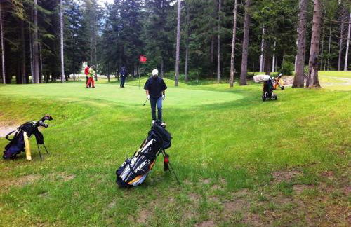 Mansarda Vigezzina Locazione Turistica - Foto 44