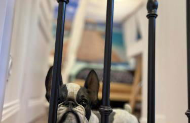 Le Maréchal Duplex - Appartement avec Jacuzzi - CAEN hyper Centre - Photo 30