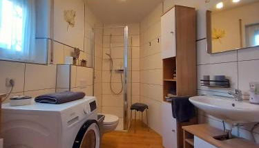 Eifel Urlaub mit Hunden Ferienhaus Schwalbennest Schalkenmehren - Foto 5