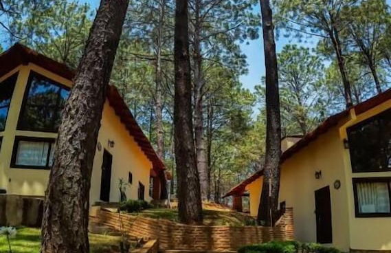 Las Morenas - Tres Lunas Domo - Foto 11