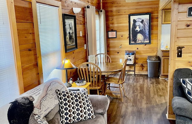 Beary Charming - Foto 5