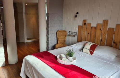 Splendide gîte La Tour Blanche 12min du Puy du Fou - Foto 31