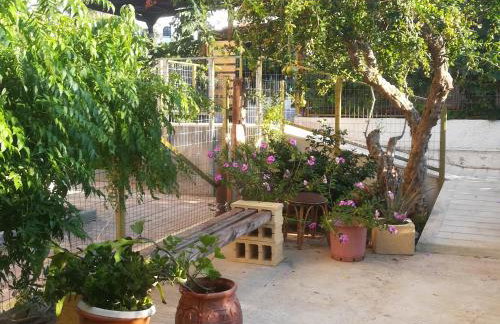 Marigianna - Foto 20