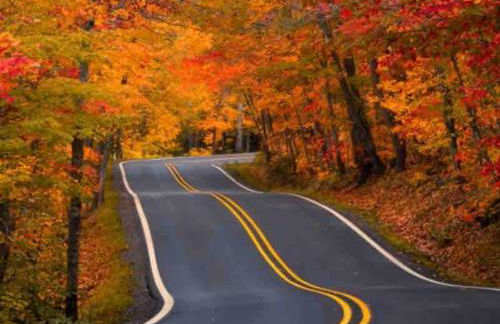 Relaxing 5-bedroom with indoor fireplace - Foto 16