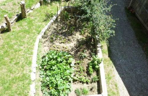 Maso Fior di Bosco - Val di Rabbi - Esercizio Rurale - Foto 73