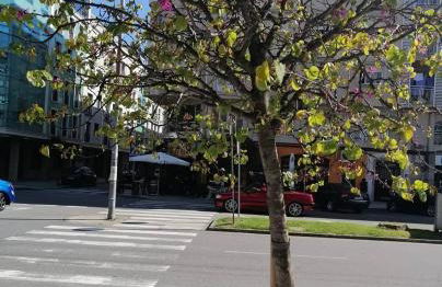 Apartamento boutique "A casa de Lola" - Foto 25