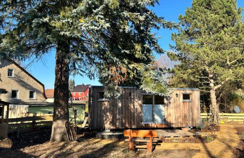 Herbert's Naturlodge - Ferienidyll im Naturpark Zittauer Gebirge - Foto 34