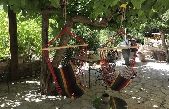 Domaine de la Tuilière - Foto 52