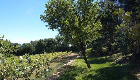 Gites Les Chrisalies - Foto 2