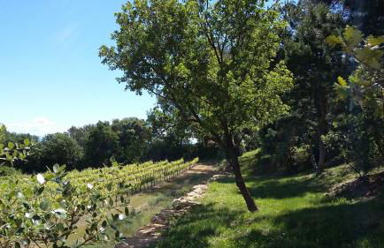 Gites Les Chrisalies - Foto 2