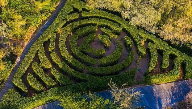 Boleto de entrada a la isla Sharjah Al Noor - Foto 2