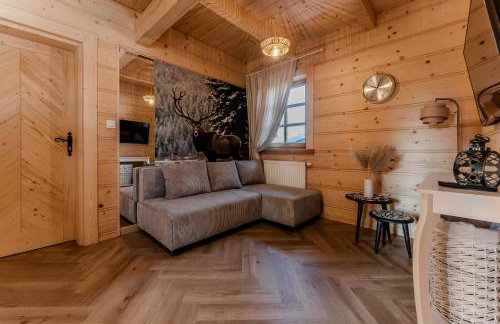 Czorna Chata u Chocyków & SPA - Foto 61