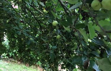 Posada El Pareón - Photo 41