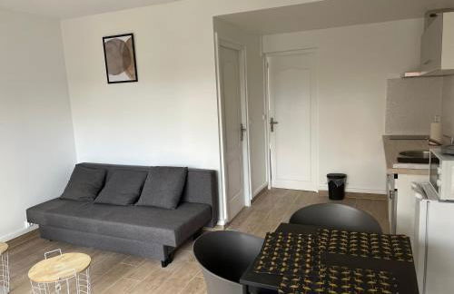 Appartements proches CDG Le Bourget dans maison francilienne typique - Foto 16