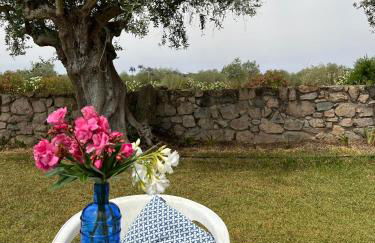 Casa de Campo, Quinta do Funchal - Foto 14