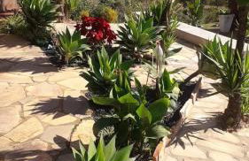 Sítio Santa Terezinha Canastra - Foto 36