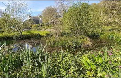 Cottage - Sleeps 2 - River Lynher walks & fishing - Photo 9