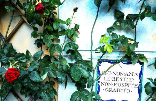 Villa Bellaria - Foto 9