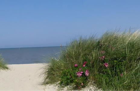 Ferienwohnungen Felix und Jan - Photo 16