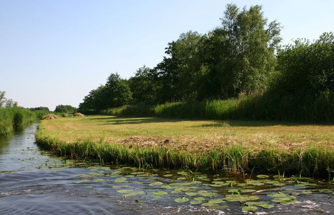 Charming Home w/ Garden - Photo 38