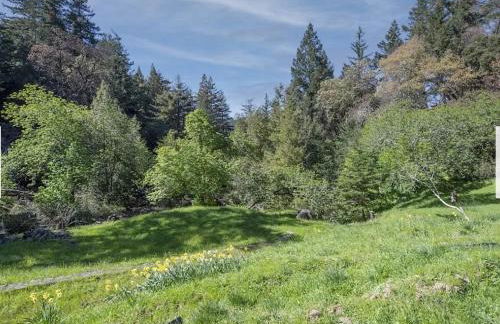 Gorgeous Retreat 5 Acres Paradise - Foto 14