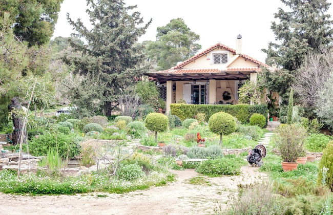 Beautiful mini eco farmhouse - Foto 1