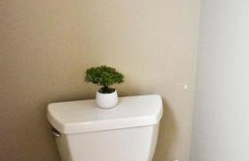 Tremont apartment, near downtown, and Central! - Foto 19