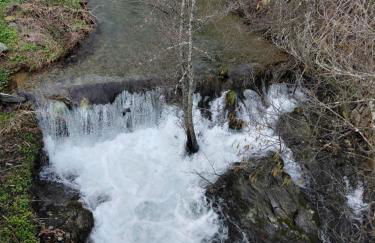 Casa Penafalcão - Foto 80