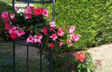 Ferien Apartment Melcher - Foto 17