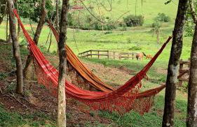 Chalés do Mato Dentro - Photo 17