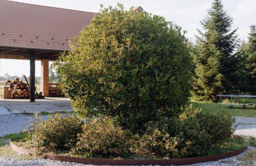 Ruralna kuća OPG Francek - Foto 49